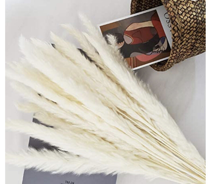 Belle Fleur Natural Dried Pampas Grass Reed Plume Dried Flower Stems Bouquet