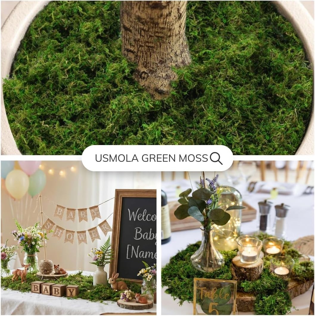 8OZ Fake Green Moss for Crafts, Terrariums, Fairy Gardens & Indoor Plants – N…
