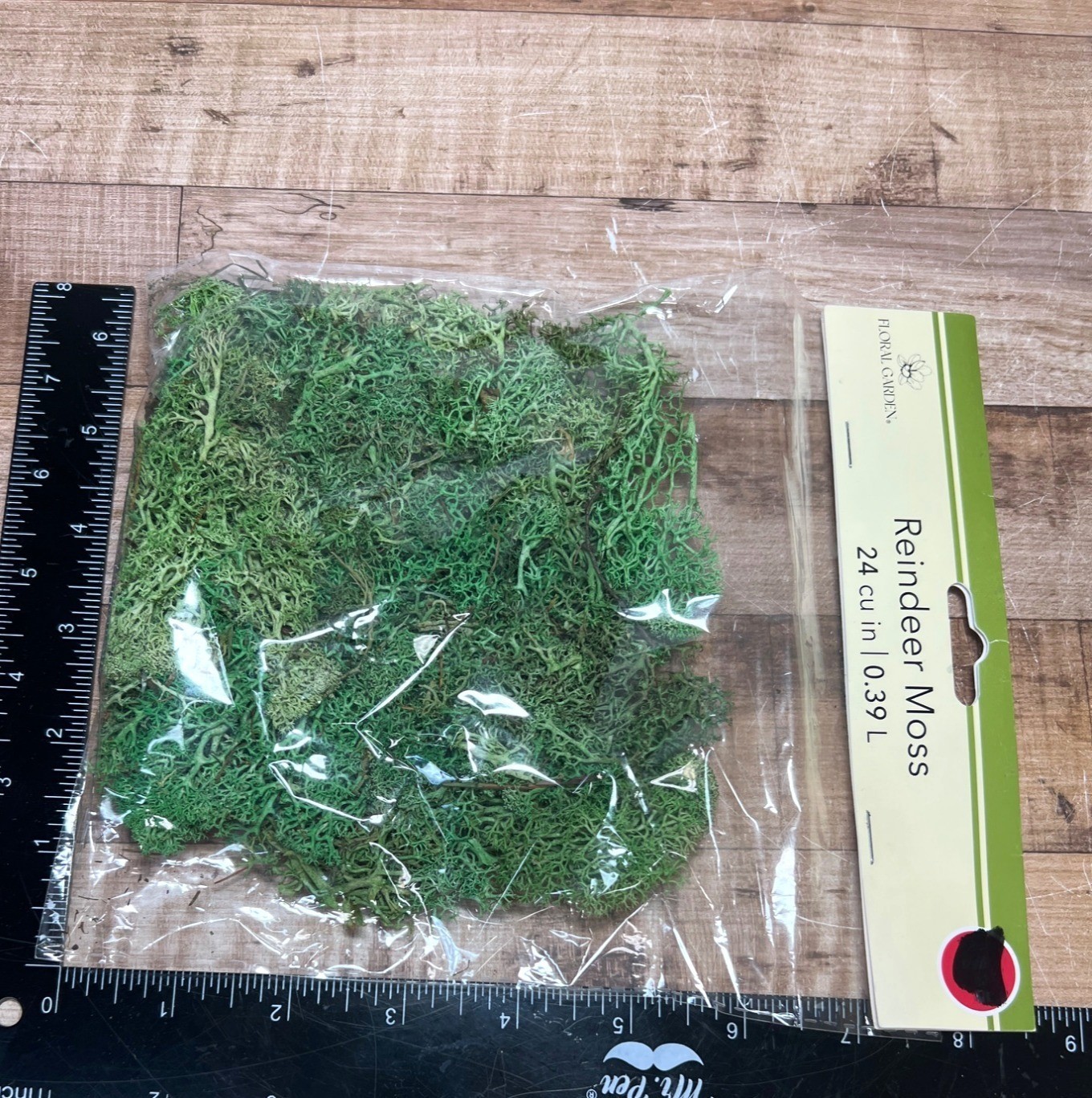 Floral Garden Reindeer Moss Preserved Natural Green Craft Decor 24 cu in