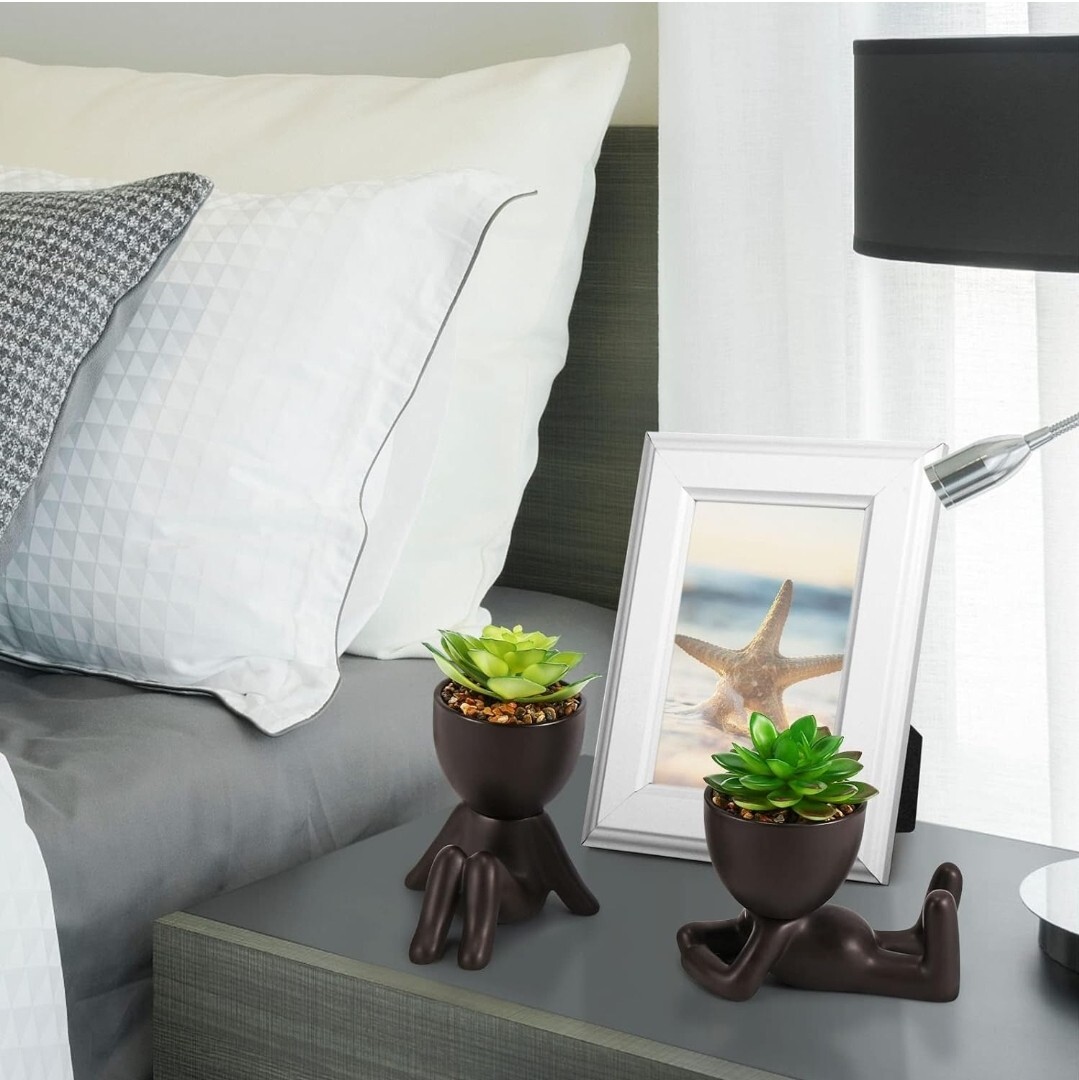 Fake Succulents, Artificial Plants Succulents in Black Modern Human Shaped