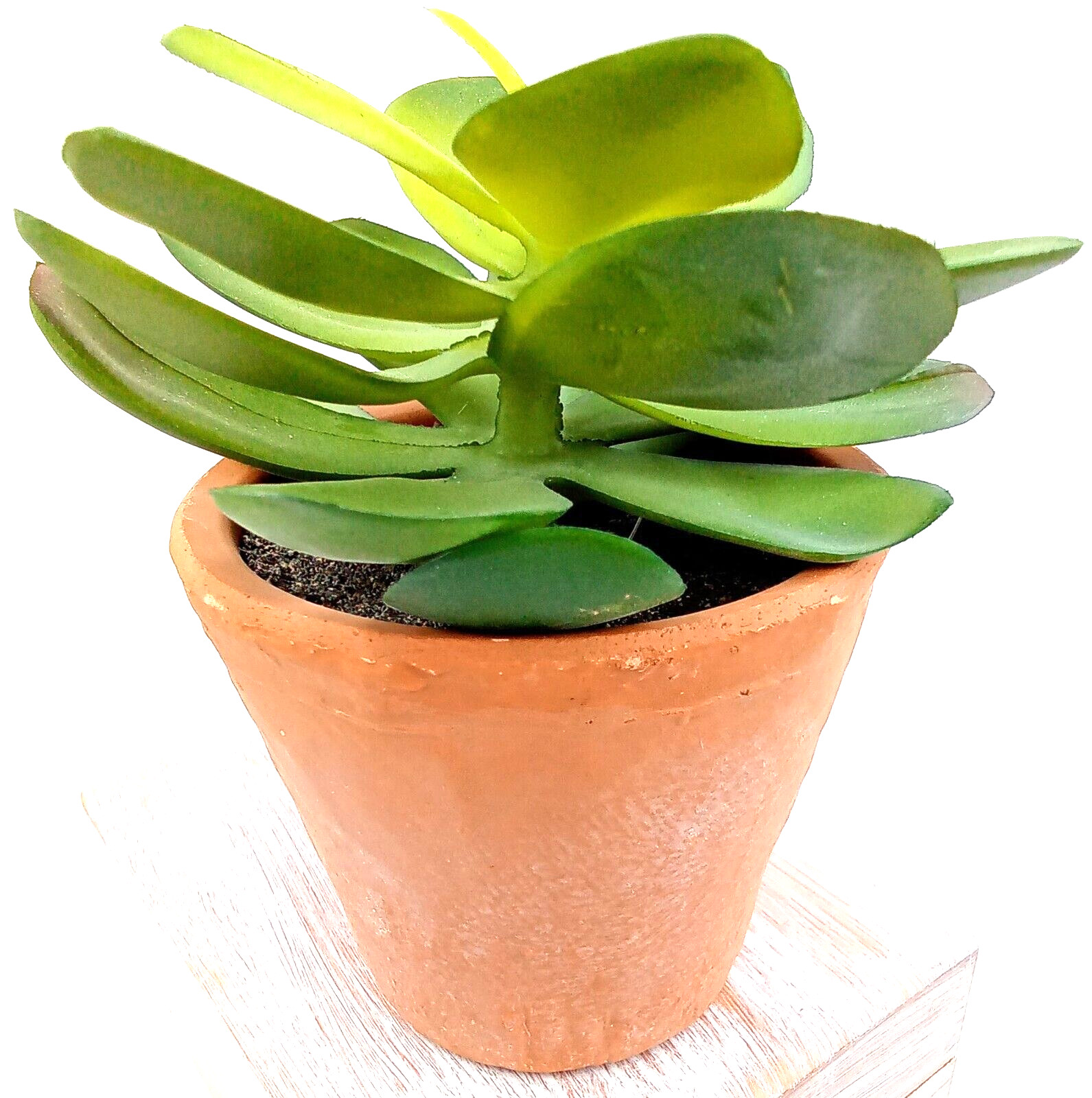 Succulent Clay Pot Planter Faux Dirt Artificial Plastic Green Floral Indoor 6×4″