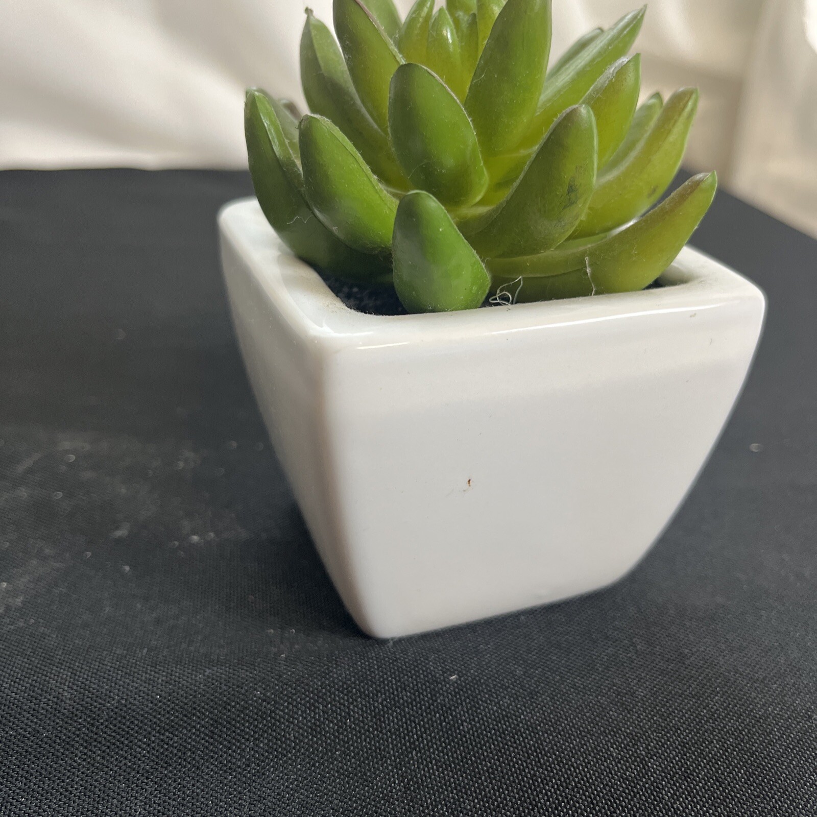 Decorated Brand Small Faux Succulent Plant White Ceramic Pot