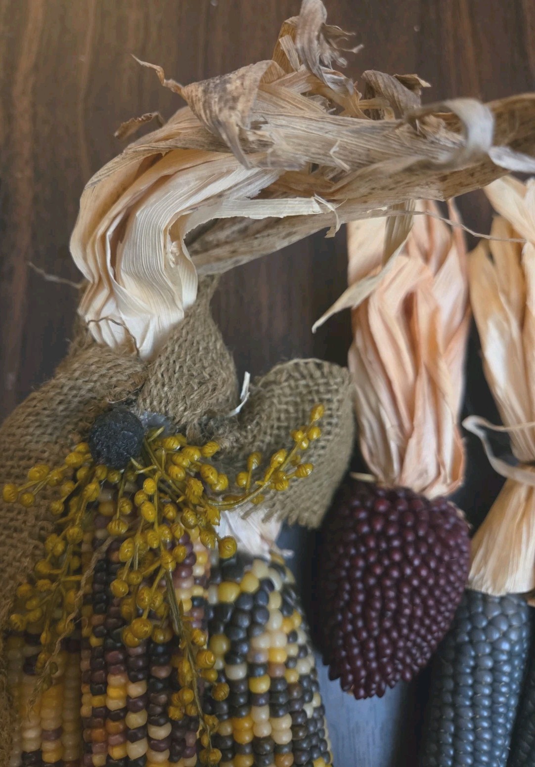 Mini Indian Corn, Approx 7-10″ Long, Thanksgiving Fall Decor