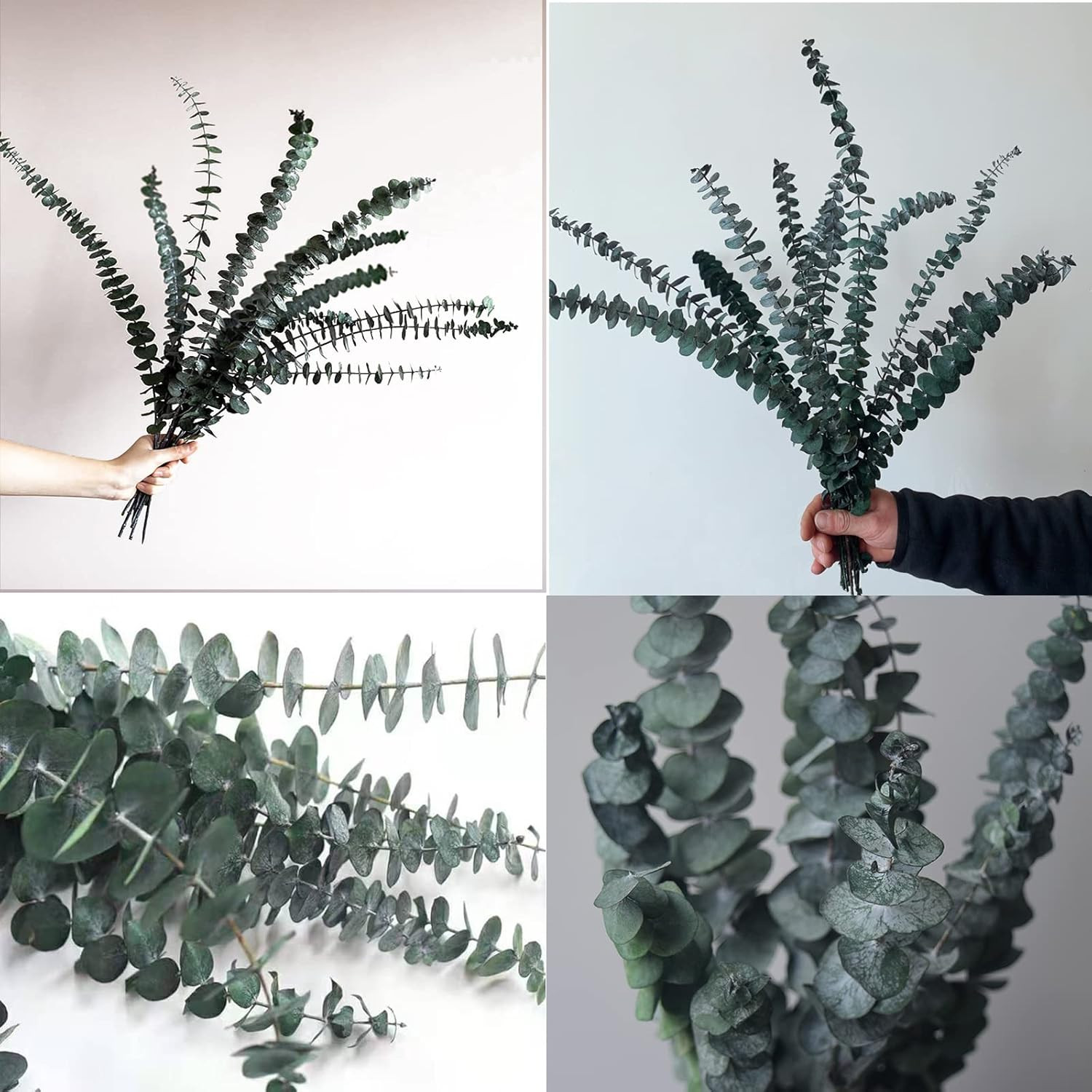 Eucalyptus for Shower 10 Pcs Hanging Dried Eucalyptu Stems 17″ Real Eucalyptus B
