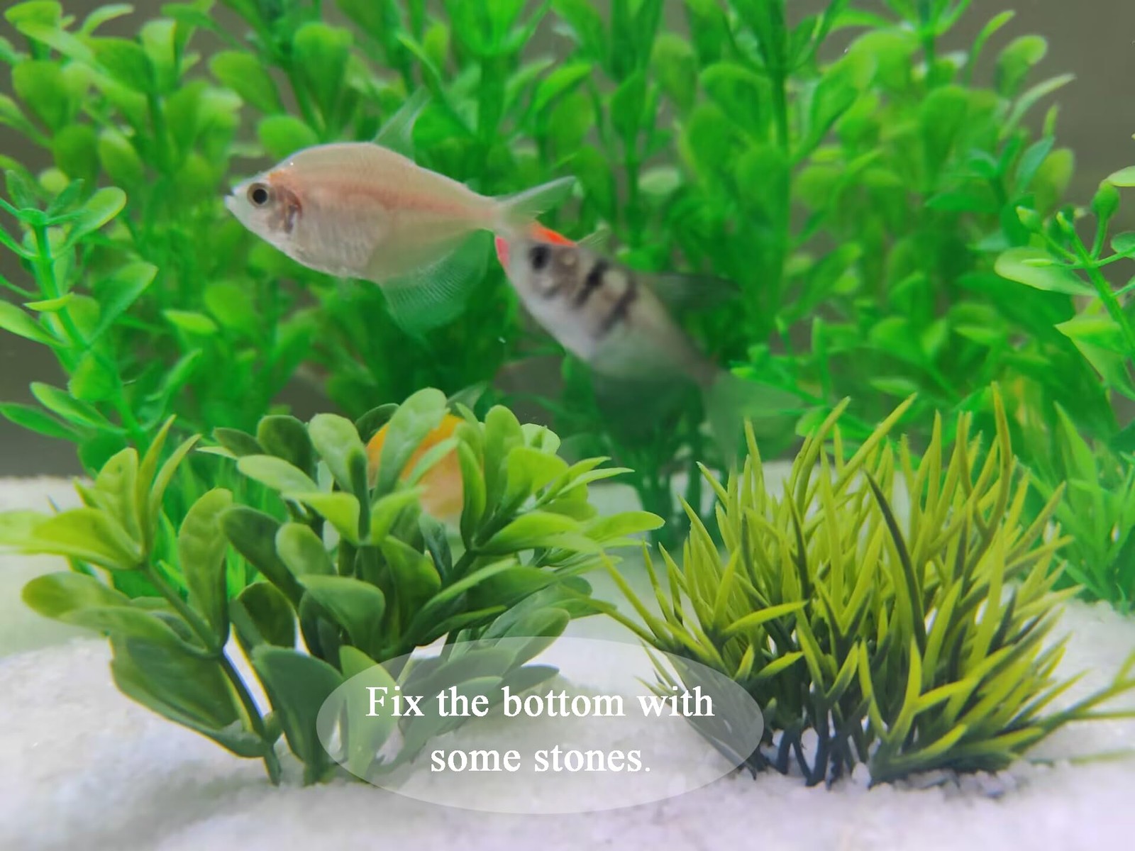 Artificial Fish Tank Plants, Plastic Aquarium Decorations, Green , 10pcs