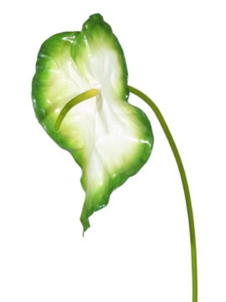20″ Anthurium stem. Silk flower floral arrangements tropical Hawaiian flowers