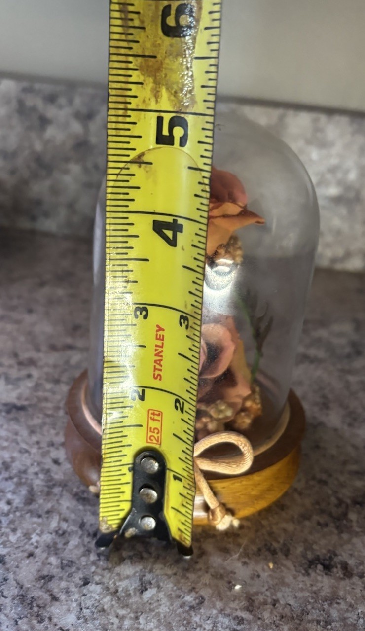 Vtg Globe Rose In Glass Dome Display With Wooden Base 5″ x 3.75″ x 3.75″