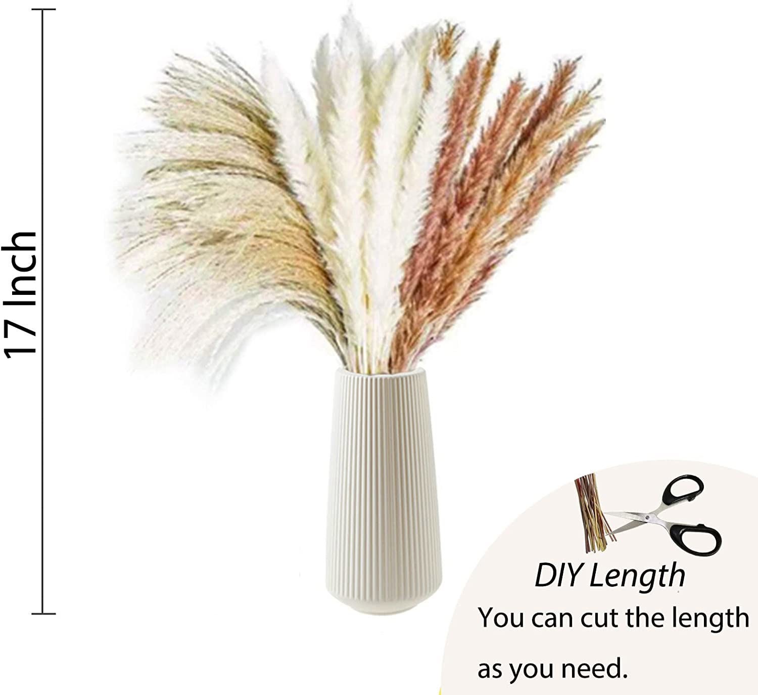 60PCS Pampas Grass Natural Dried Reed Flower Bunch Bouquets Home Wedding Decor