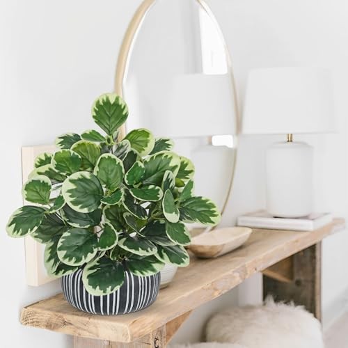 13″ Artificial Plants Indoor Small Fake Plant in Ceramic Pot, Silk #Green #1