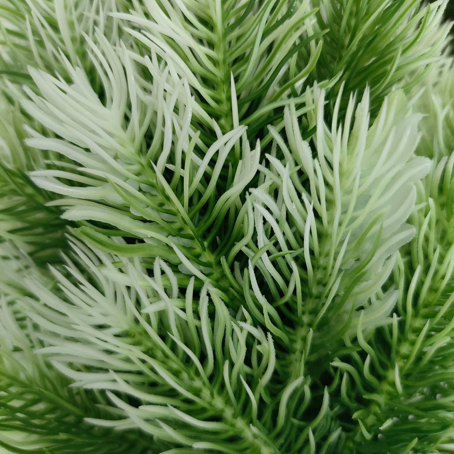 4 Pack Artificial Norfolk Pine Trees with Ground Spike, 14”Small Fake Pine T…