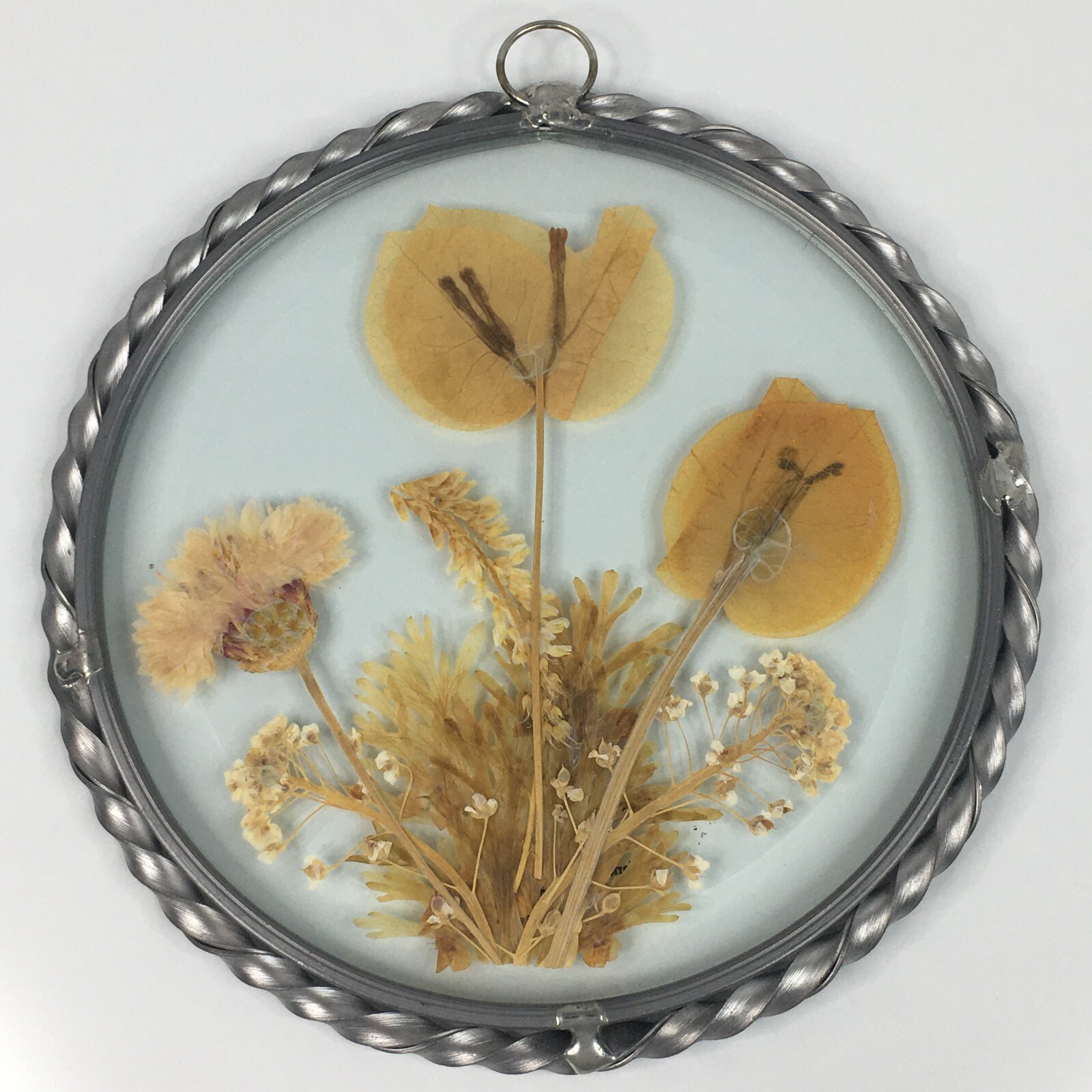 Lasting Impressions Real Flowers Glass Wall Hanging Pressed Flowers USA Floral