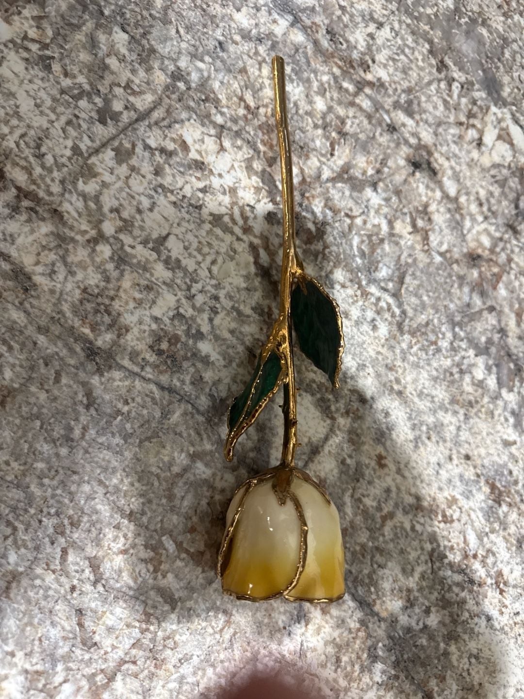 24K Gold Dipped Cream and Yellow Lacquered Real Long Stem Rose