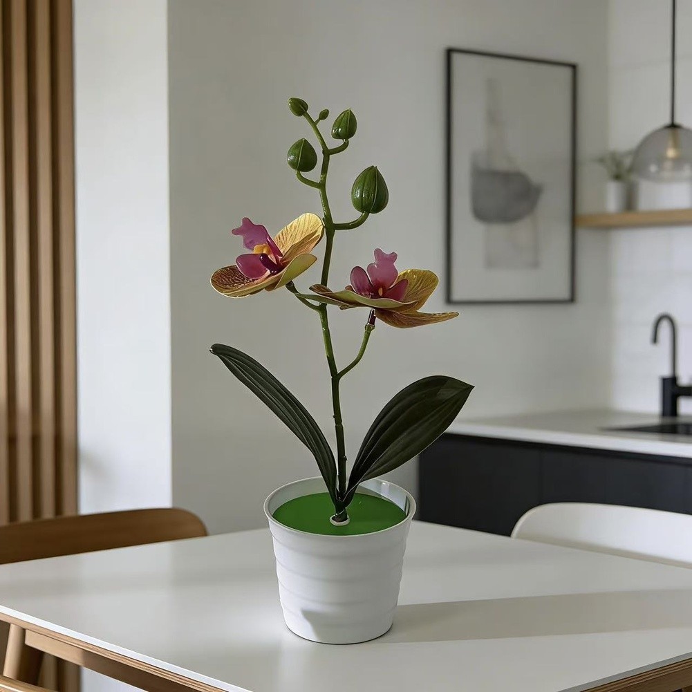Fake Orchid Plant Phalaenopsis Type for Living Room Bedroom Study Decor Plastic