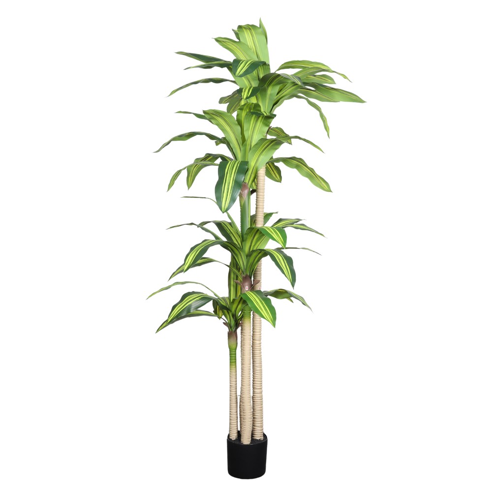 5′ Artificial Dracaena Tree with Black Plastic Pot, 1pc/set