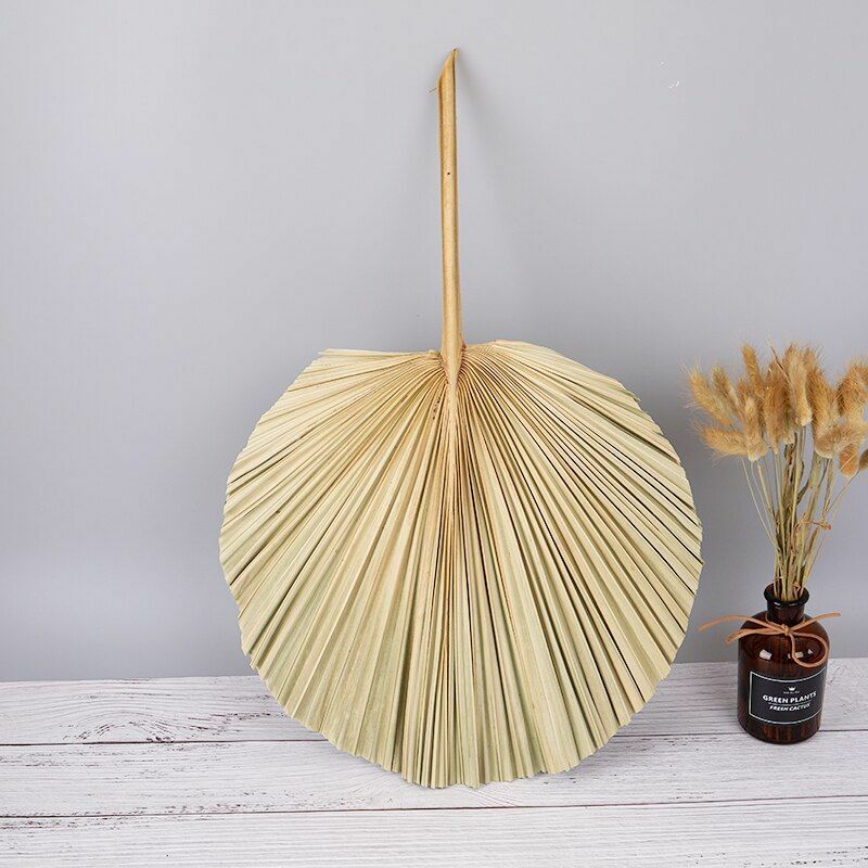 Natural Dried Flower Palm Leaf Fan Plant Party Wall Hanging Wedding Decor DIY