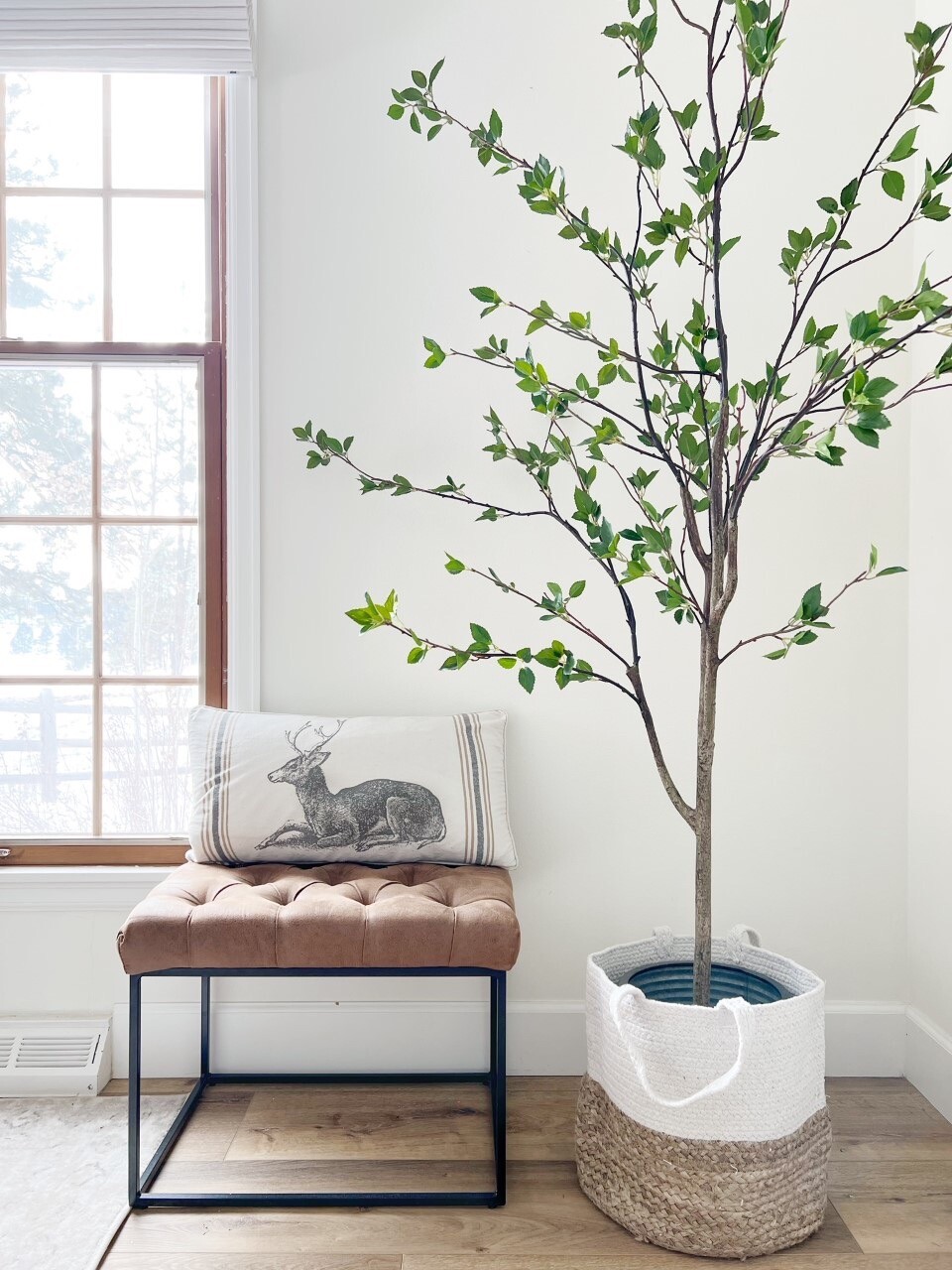 6.5’ Artificial Citrus Minimalist Tree Home Decor. Retail $248