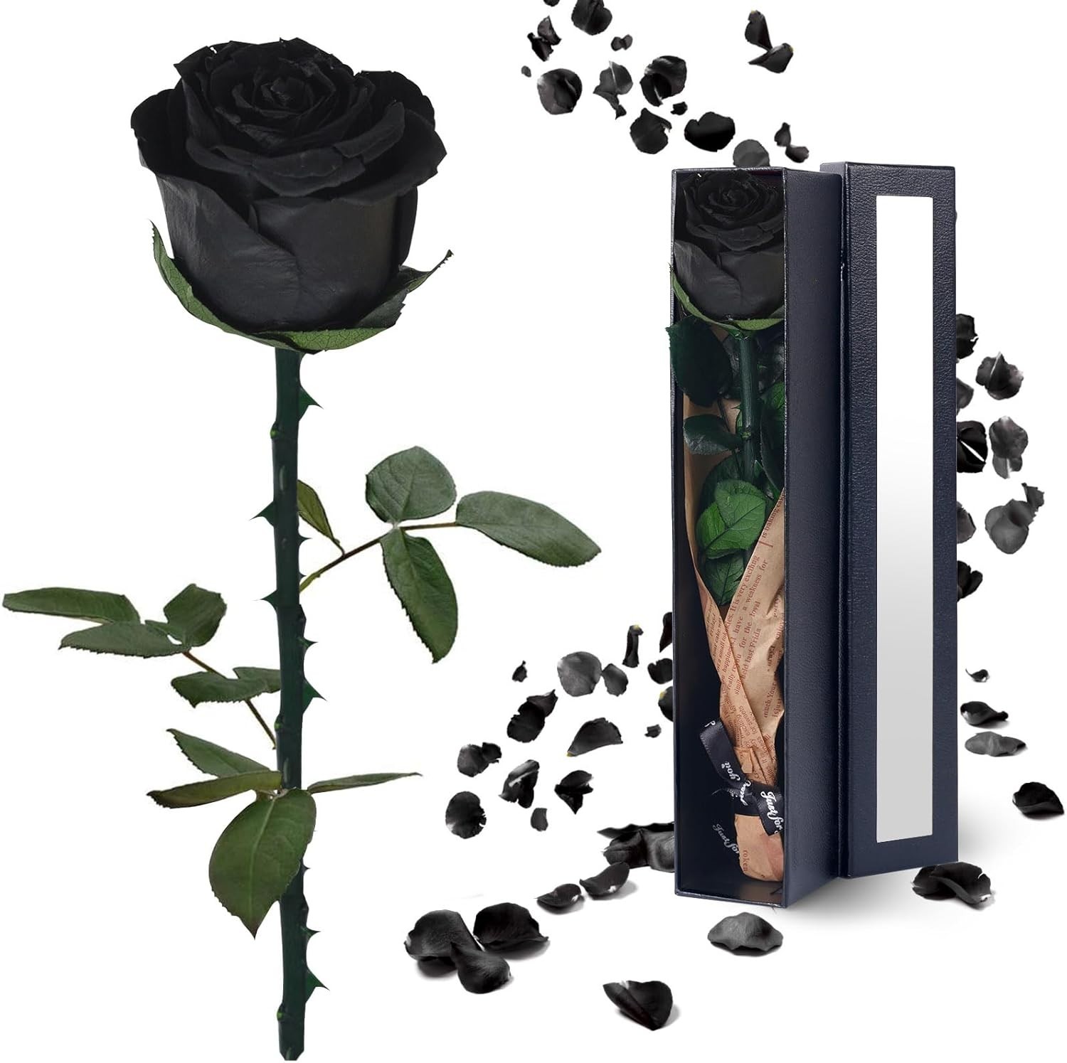 Single Black Preserved Rose – Timeless Gift for Women on Any Occasion