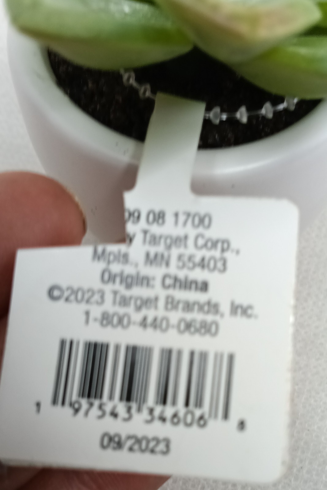 3.5 ” Mini Tabletop Succulent Artificial Plant – Threshold, new