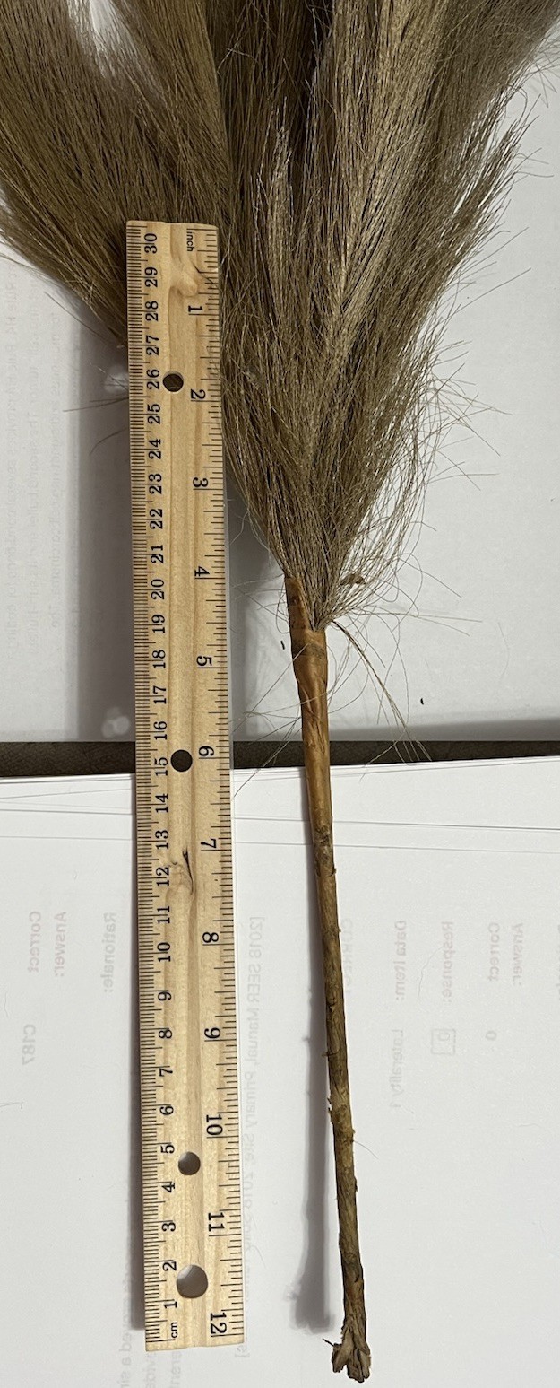 Ansemble of Faux Pampus Grass Bohemian Style Floral Arrangements about 5 Sprigs