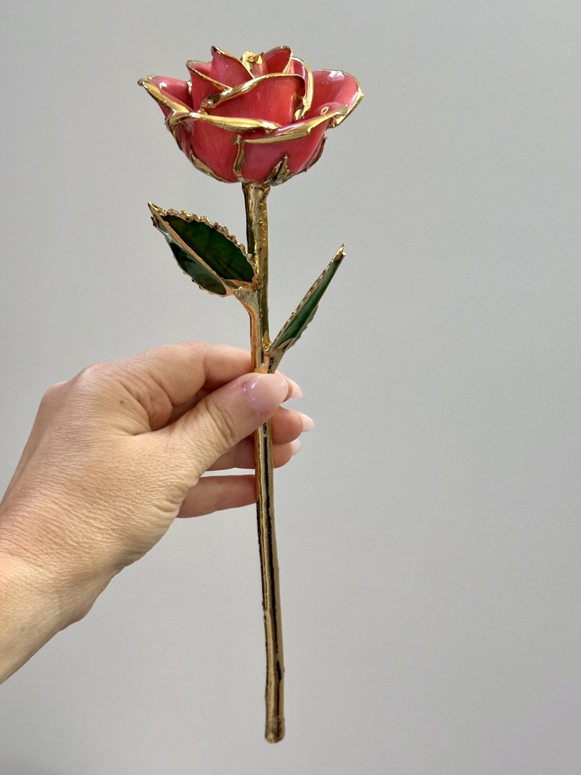 Steven Singer Jewelers – Real Rose – Preserved in 24k Gold – Pink