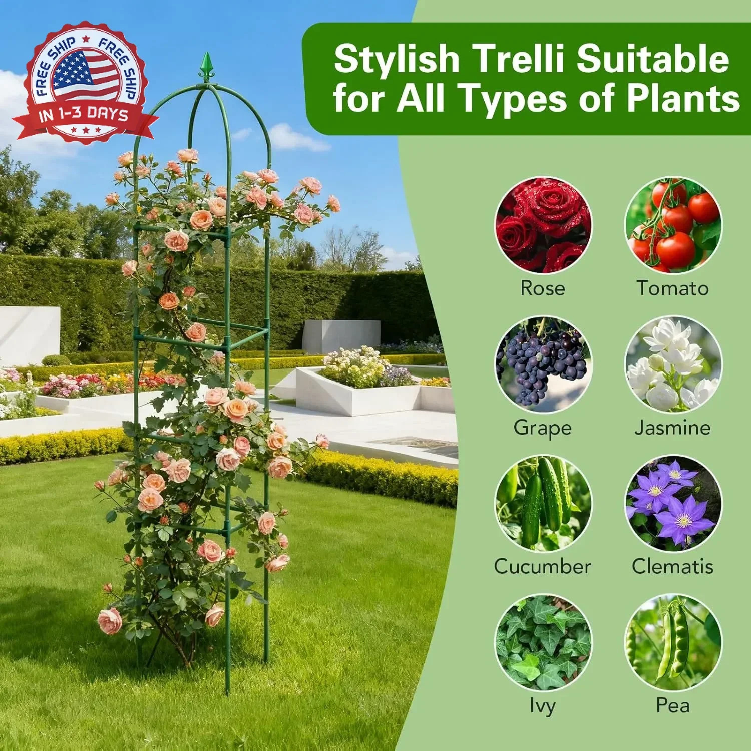2 Pack Garden Obelisk Trellis for Climbing Plants, 72″ Metal Rustproof Rose Trel
