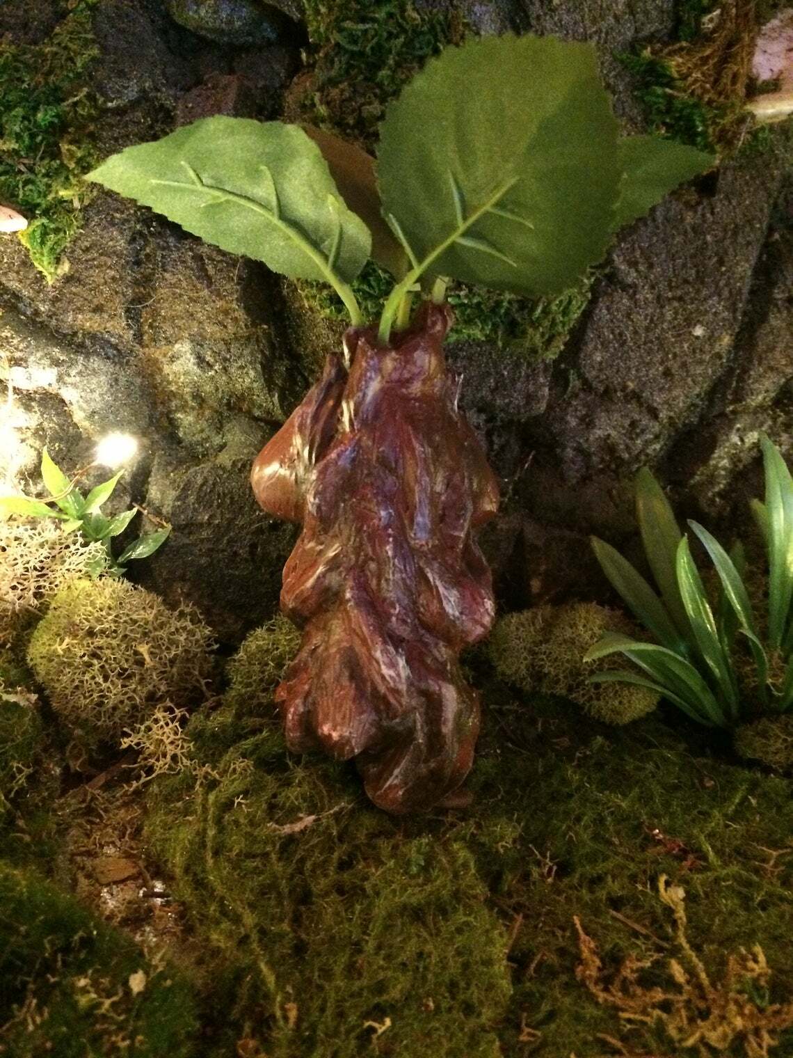 Mandrake Plant Seedling – Adorable Magical Root In A Small Terracotta Pot