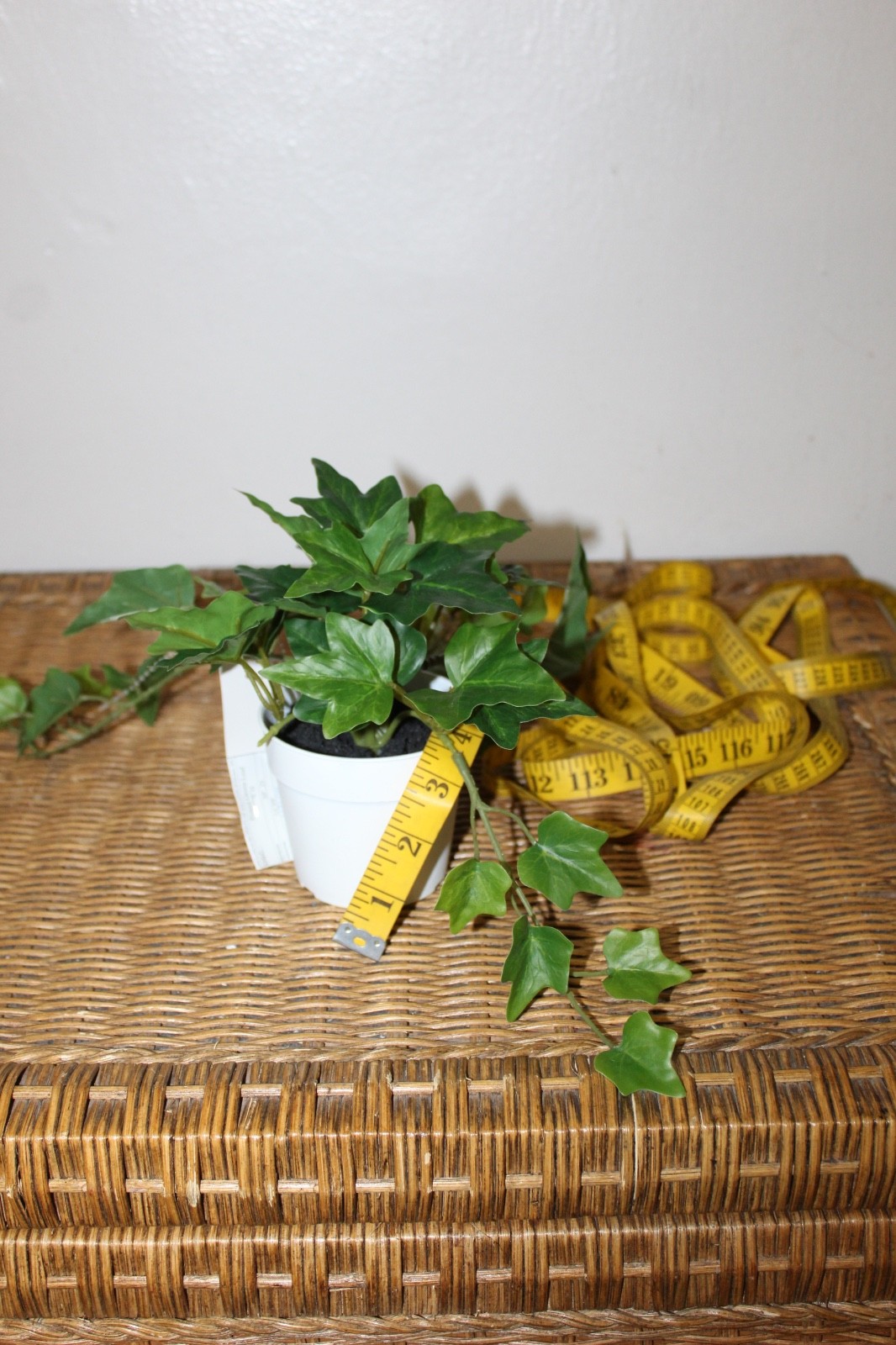 Williams Sonoma Artificial Potted Green Leaf.