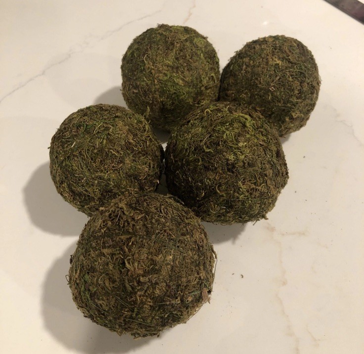Natural Moss Balls Spheres 3-3.5 inches (5 Balls)