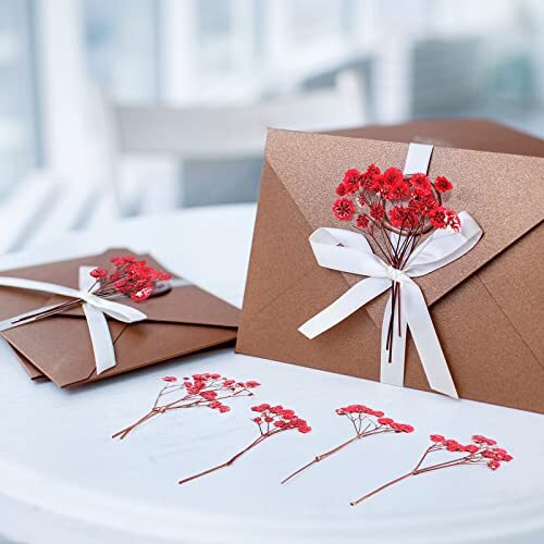 Dried Baby Breath Flowers Red Gypsophila Dried Pressed Flowers 1.97-3.15