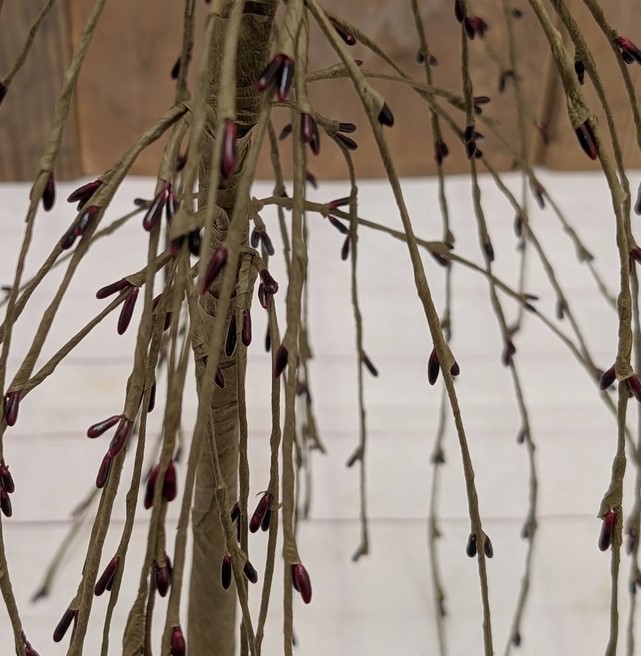 Primitive Burgundy Pip Berry Weeping Willow Tree 7″ Colonial Home Decor