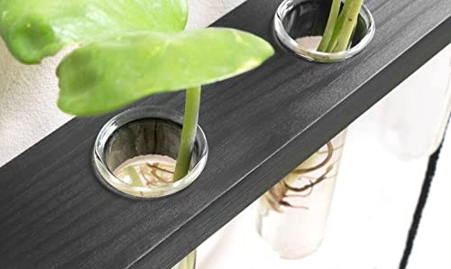 3 Tiered Wall Hanging Plant Terrarium with Wooden Stand Mini Test Medium Black