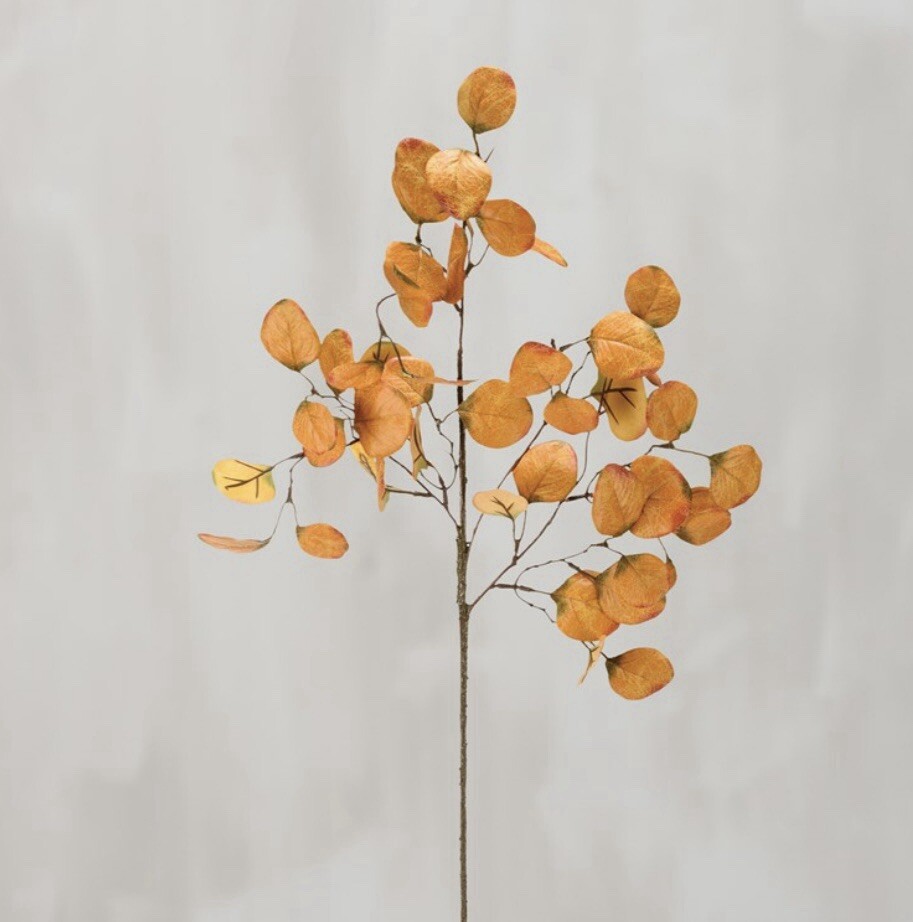 Gold Eucalyptus Pick, 28” One Pick Only
