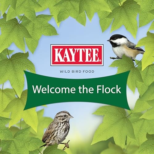 Wild Bird Food Basic Seed Blend, 5 lb 5 Pound (Pack of 1)
