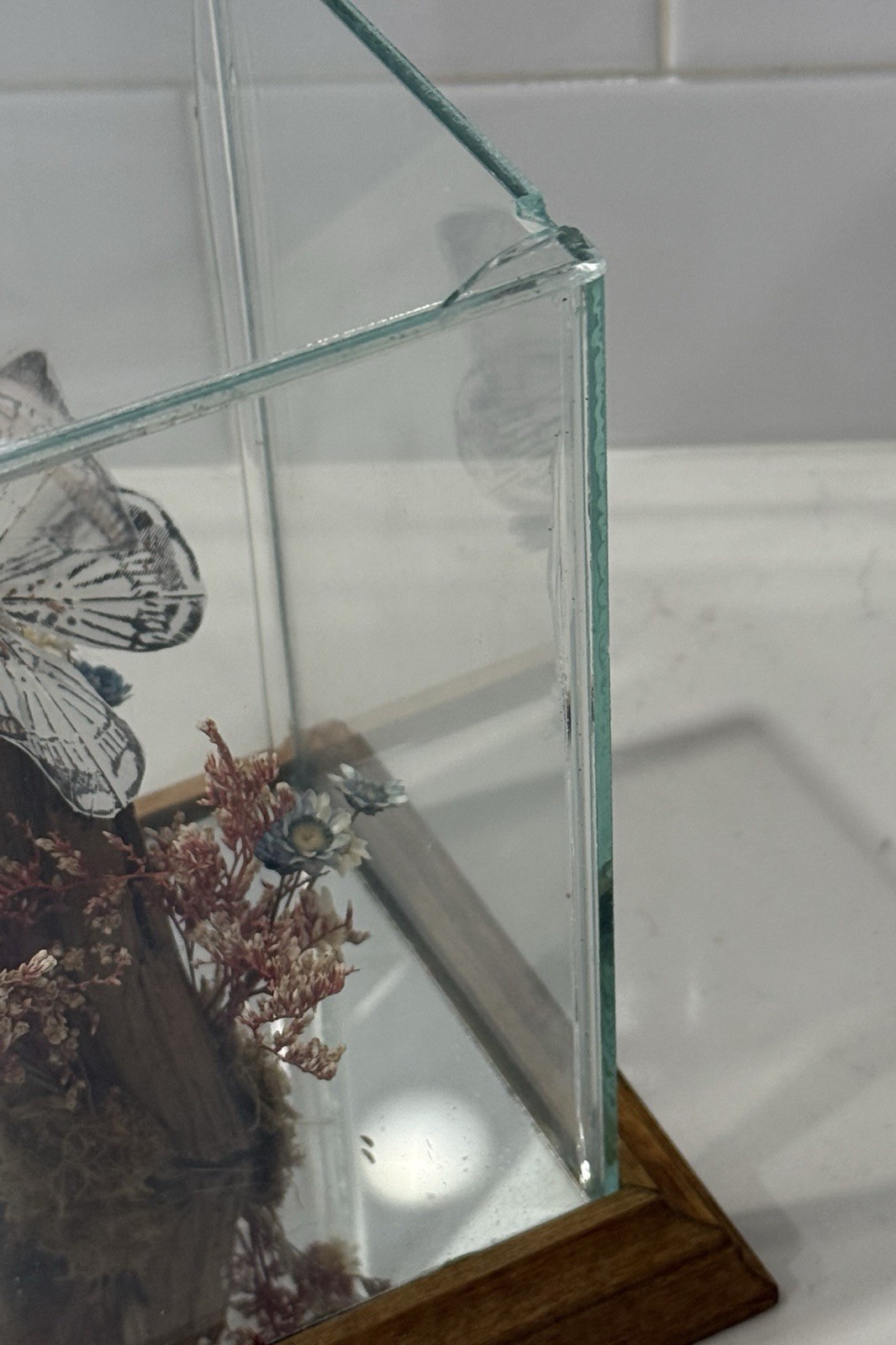 Glass Display Terrarium Butterfly (Faux) Dried Florals Wood Base CottageCore