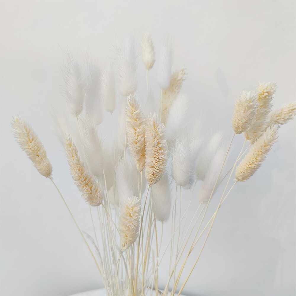 75 Pcs Dried White Pampas Grass 17″ Decor for DIY Flower Arrangements #20