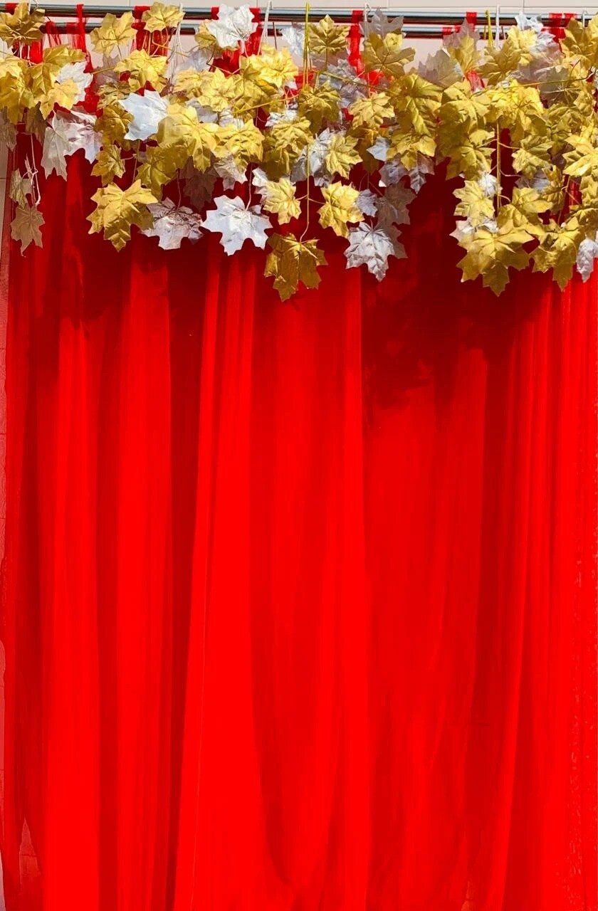 Backdrop Curtain For Decoration Stage Backdrop NIkha Decor Photo Prop Decor