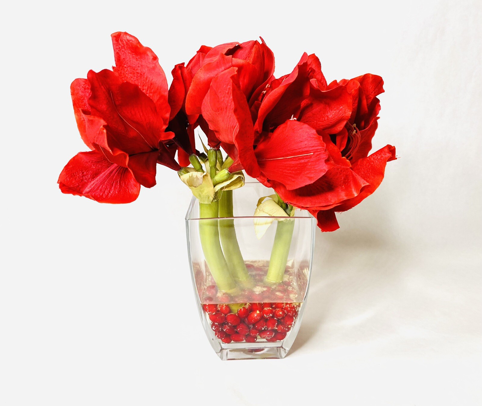Red Amaryllis Artificial Flower Arrangement Square Glass Vase Water 15” Tall