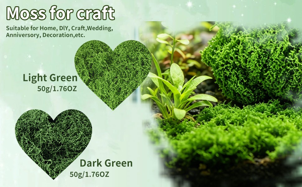 Fake Moss for Plants Indoor, 7OZ Dual-Color Artificial Moss for Crafts,