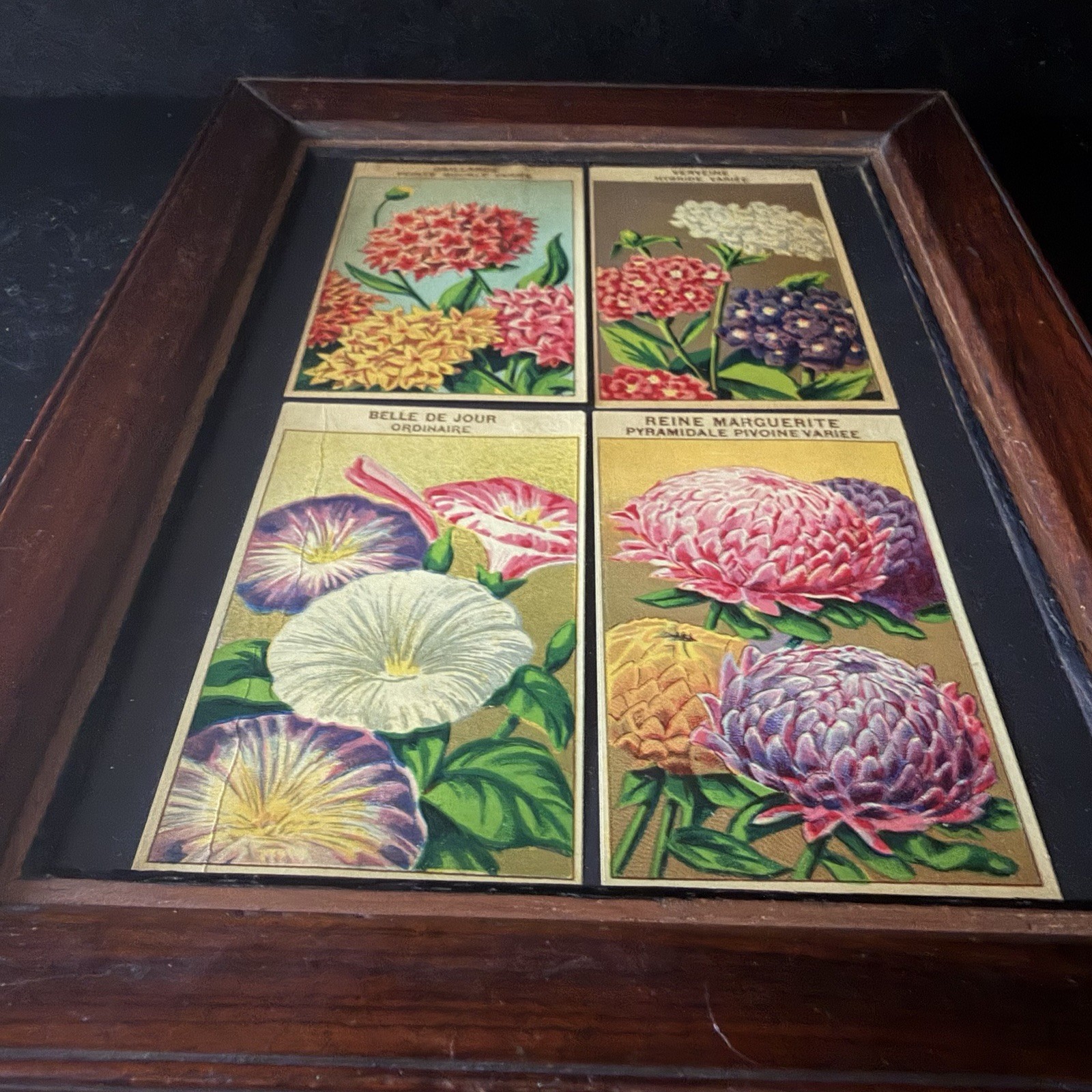 Vintage French Seed Packet Labels Framed Botanical Wall Art Wood Frame