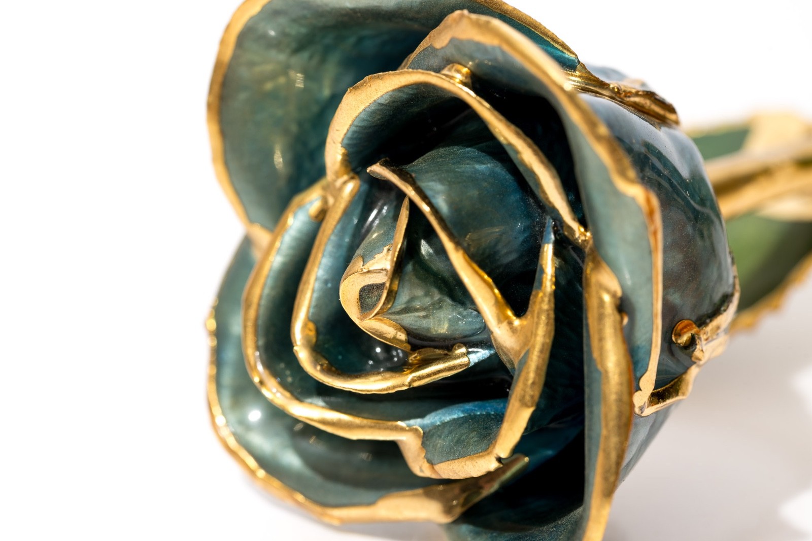 Gold Tipped Real Roses, Gift For Her