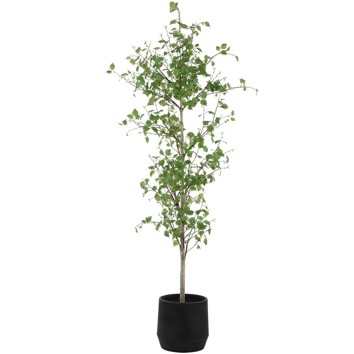 Uttermost 60263 Boreal Aged Gray and Green Potted Birch Tree