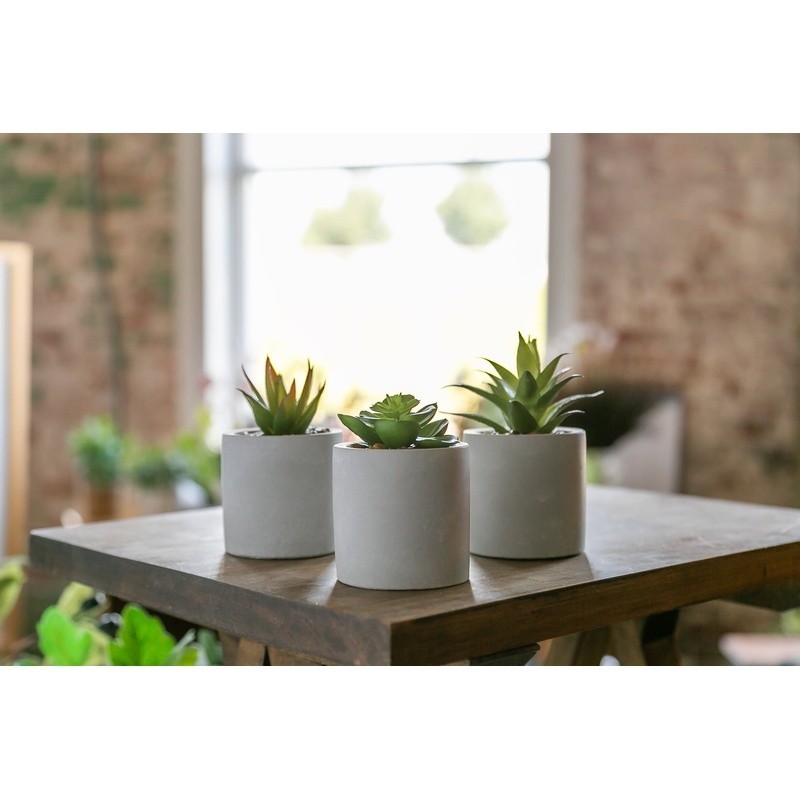3 Piece Faux Succulent Set Artificial Plants Gray Ceramic Planters Indoor Decor