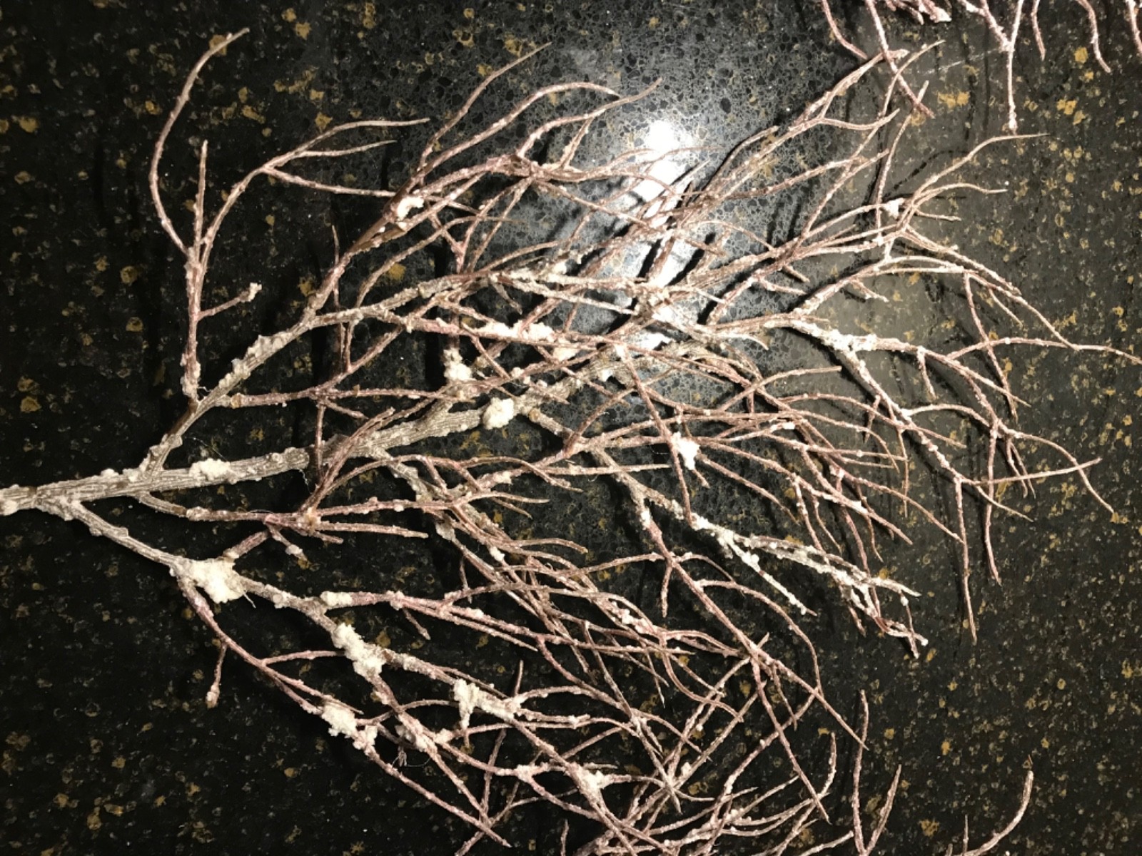 Valerie Parr Hill/QVC Set of 5 Life-like Brown Branch Pick, Tree Decor, LN! 12″