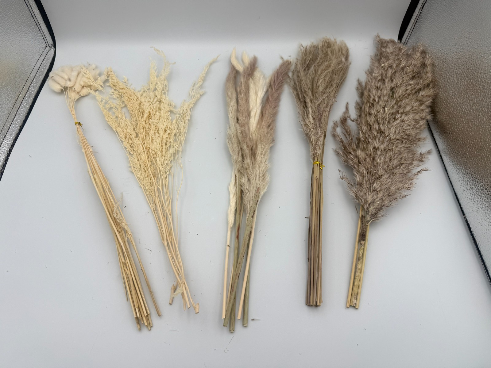 Dried Palm Leaves Fan Wall Decor Kit Natural Ornamental Grass Stems 16-17 in