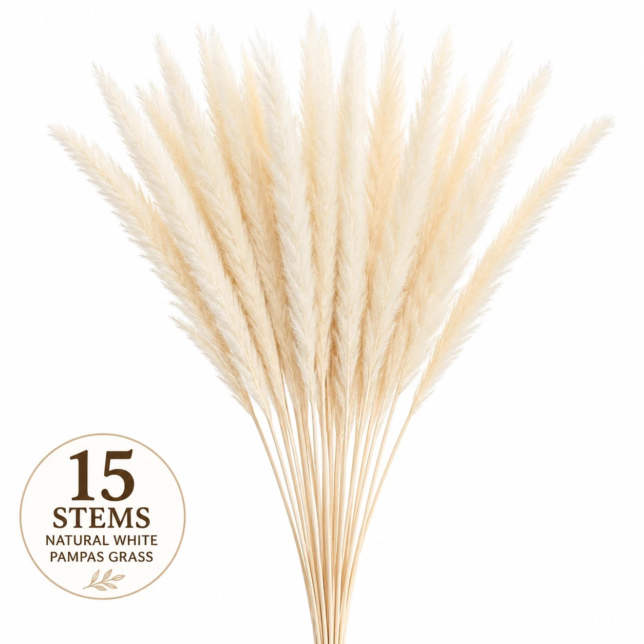 Dried Pampas Grass 15 Stems Natural White Fluffy Reed Home Wedding Decor