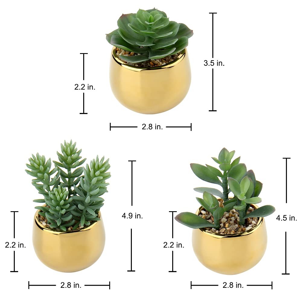 Briful Small Artificial Succulents in Pots Set of 3 Realistic Faux Plants with