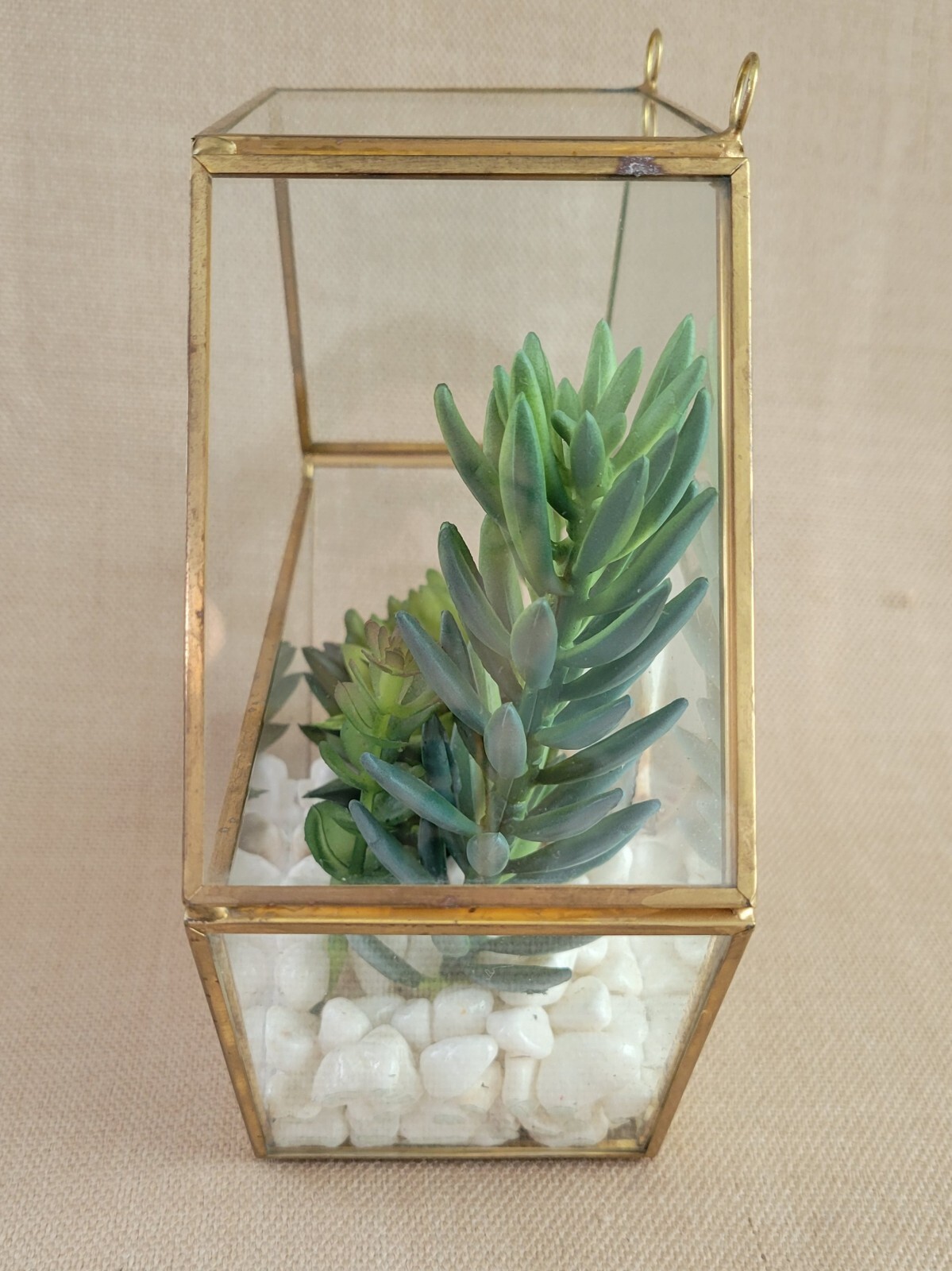 Plant Terrarium Geometric Gold Edge Planter Artificial Succulent Open Side Glass