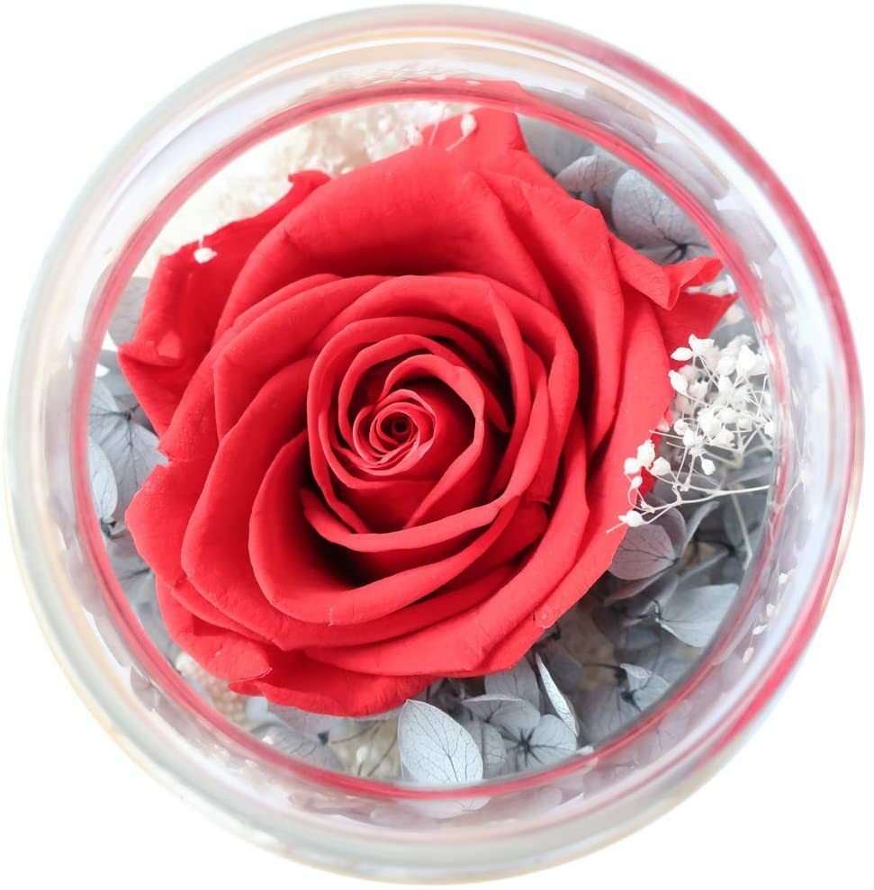Preserved Real Roses with Colorful Mood Light Wishing Bottle Eternal Rose Gifts