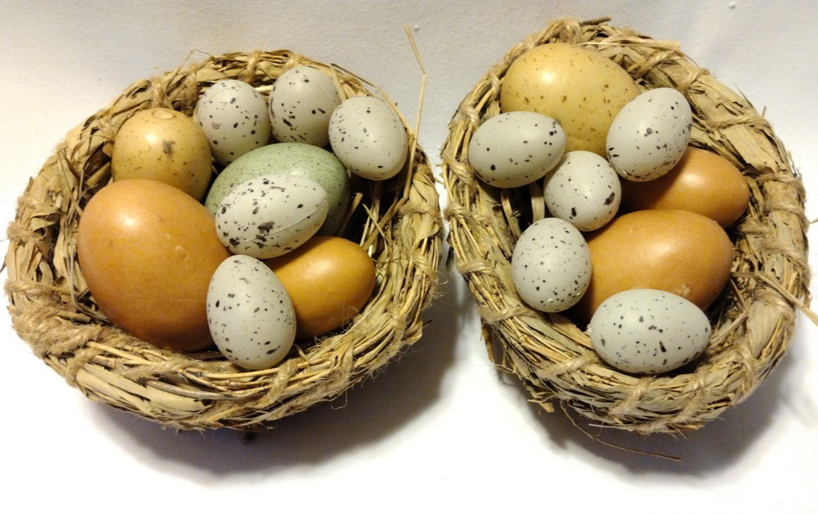 2 Faux Bird Nest w/ Speckled Eggs Easter Spring Decor Rustic Farmhouse AB