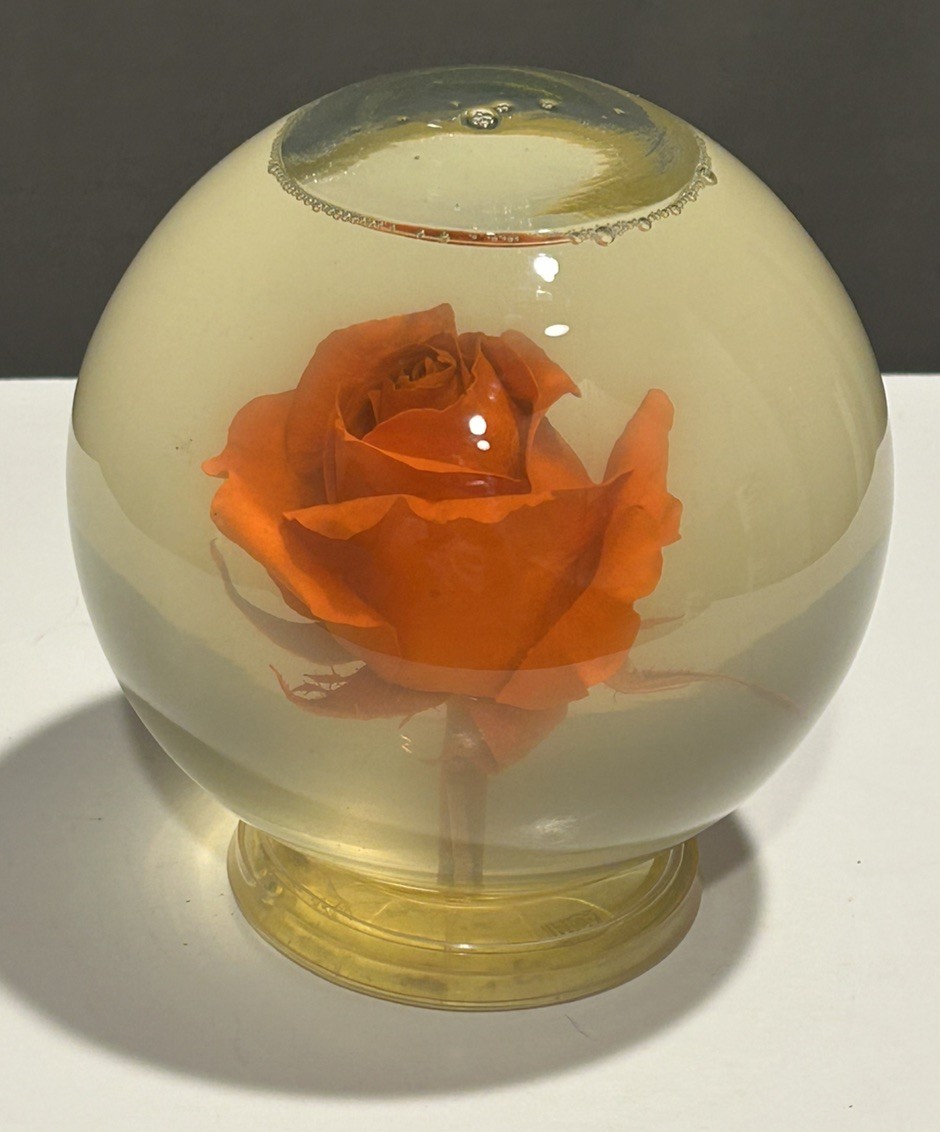 Vintage Liquid Filled Orange Rose Display Globe Preserved Flower Decor